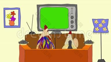 一只公鸡和一只鸡看电视，翻动种子